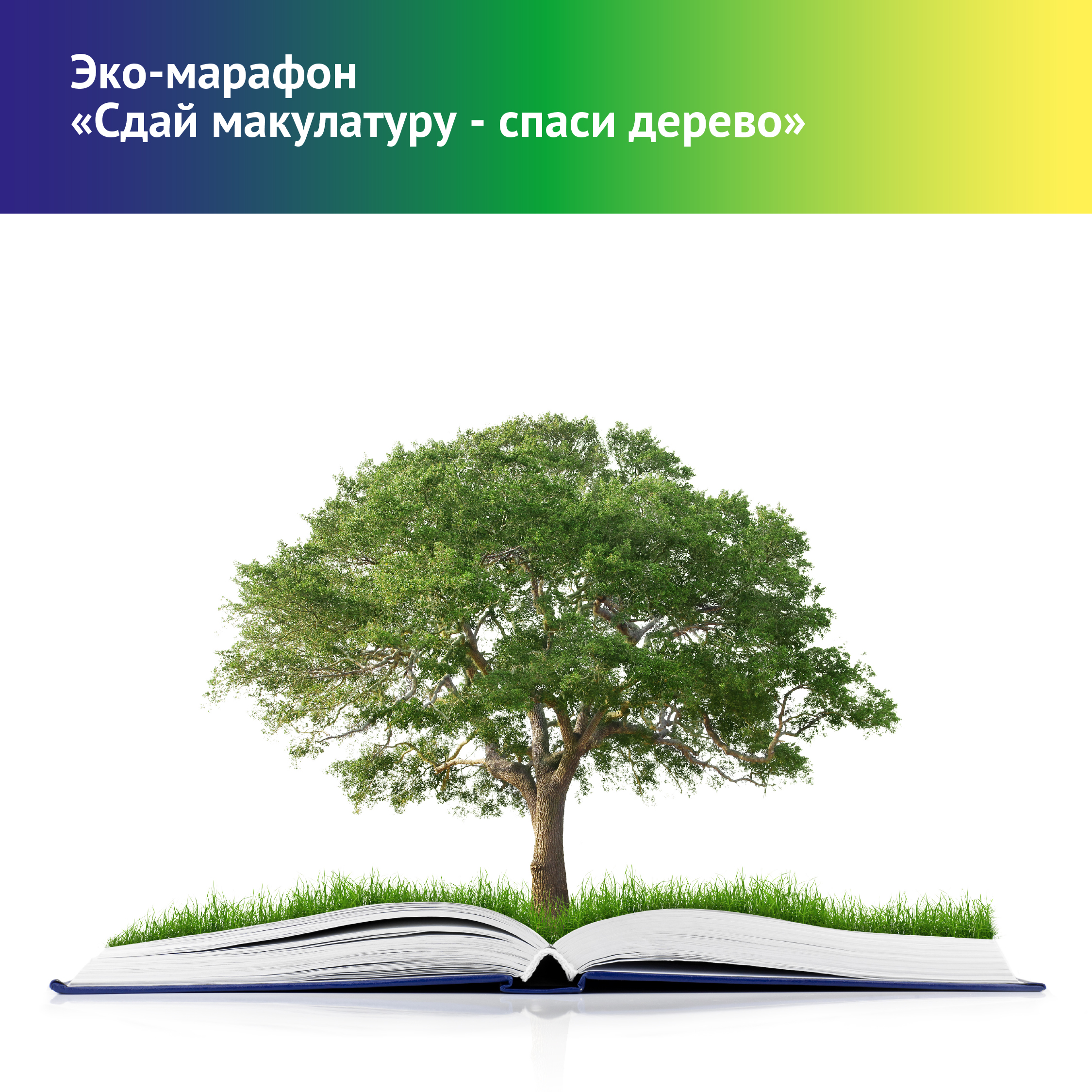 Сотрудники «ТНС энерго Тула» сдали в переработку треть тонны макулатуры — «ТНС  энерго Тула»